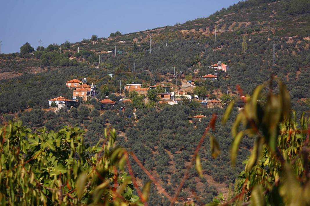 Bayındır Çamlıbel Köyü Resimleri 6