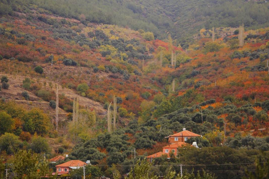 Bayındır Çamlıbel Köyü Resimleri 8