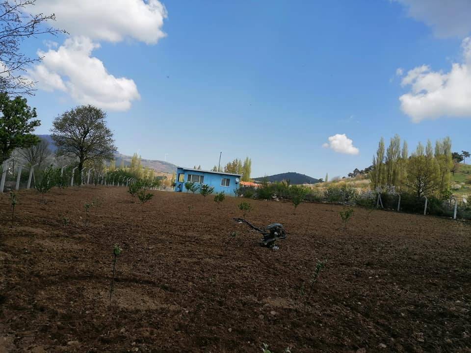 Bayındır Çınardibi Köyü Resimleri 11