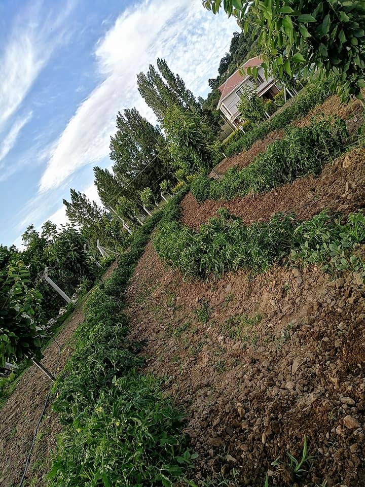 Bayındır Çınardibi Köyü Resimleri 12