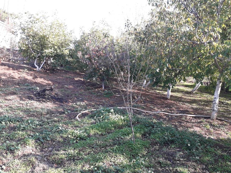 Bayındır Çınardibi Köyü Resimleri 2