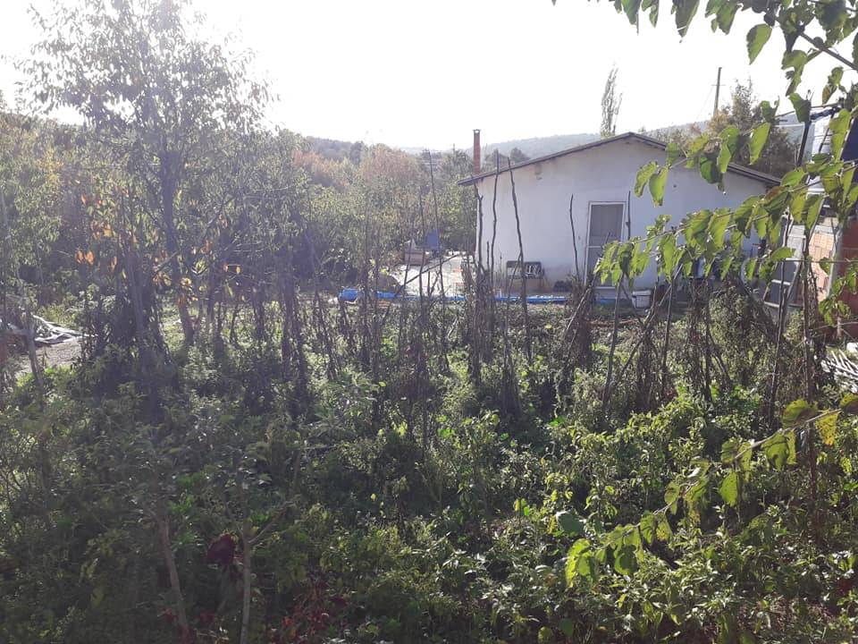 Bayındır Çınardibi Köyü Resimleri 3