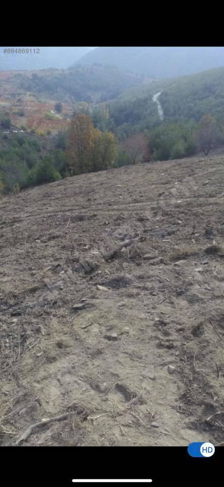 Bayındır Çınardibi Köyü Resimleri 6