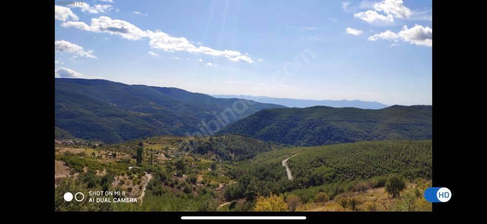 Bayındır Çınardibi Köyü Resimleri 8