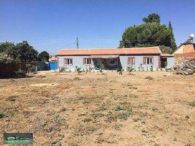 Bayındır Çırpı Cami Köyü Resimleri 2