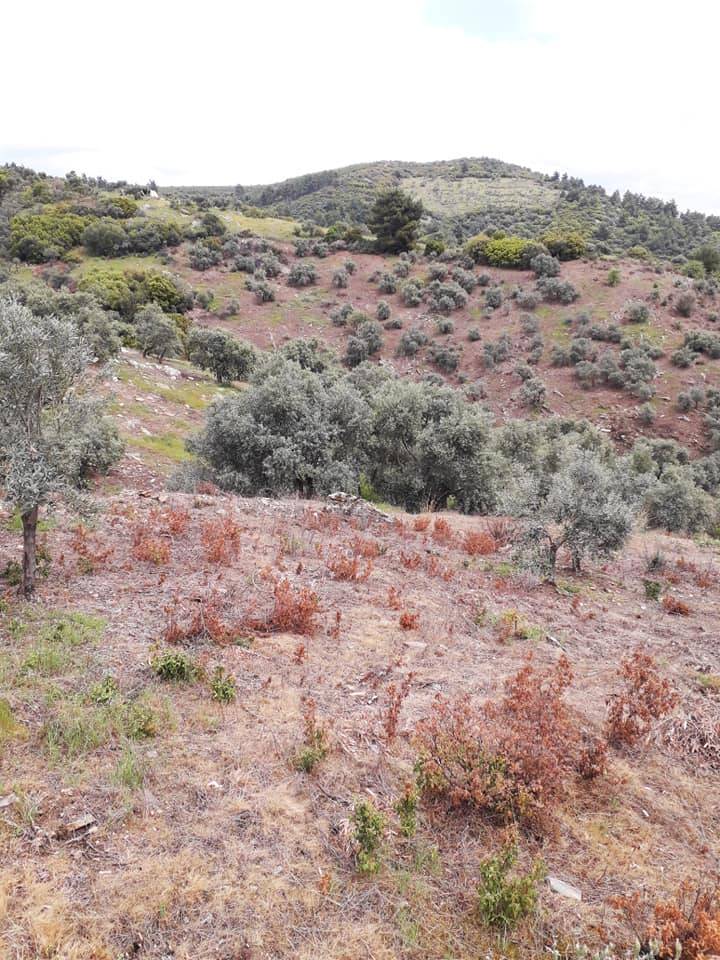 Bayındır Çiftçigediği Köyü Resimleri 4