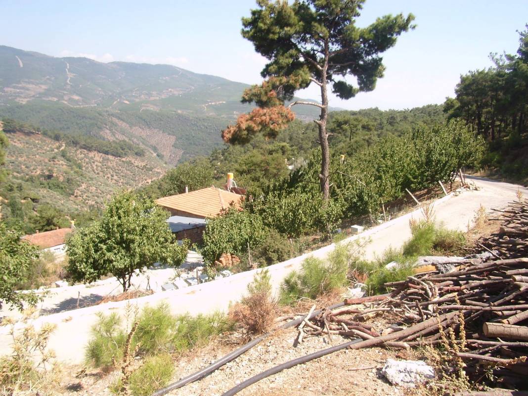 Bayındır Dernekli Köyü Resimleri 1