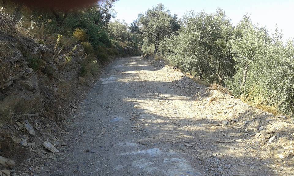 Bayındır Dernekli Köyü Resimleri 2