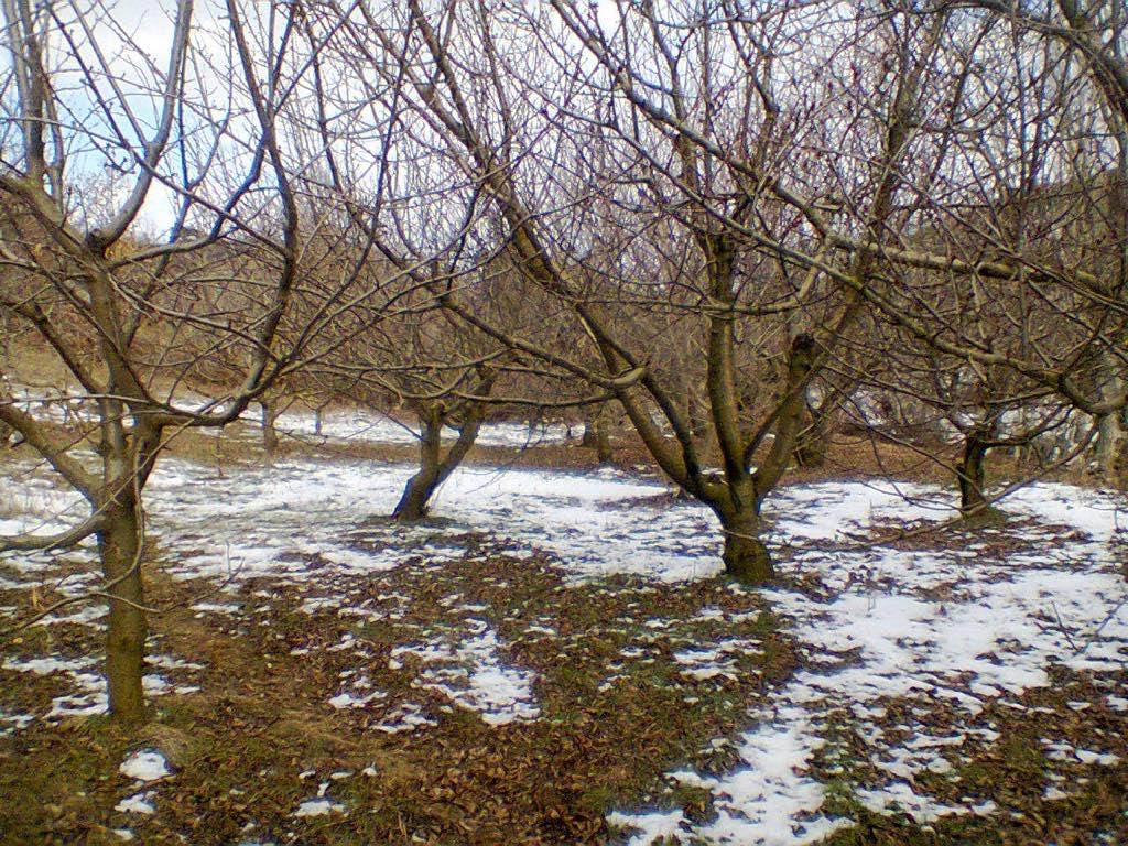 Bayındır Dernekli Köyü Resimleri 3