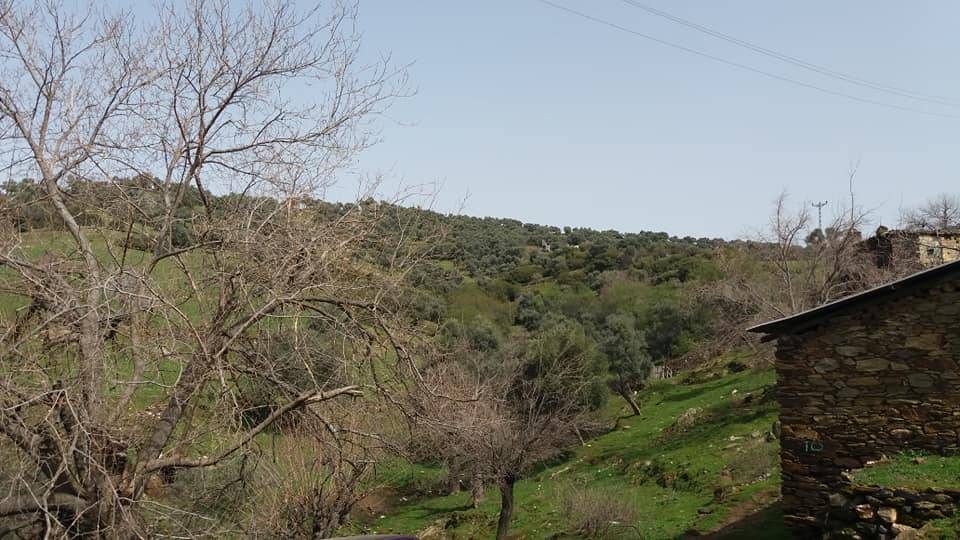 Bayındır Gaziler Köyü Resimleri 1