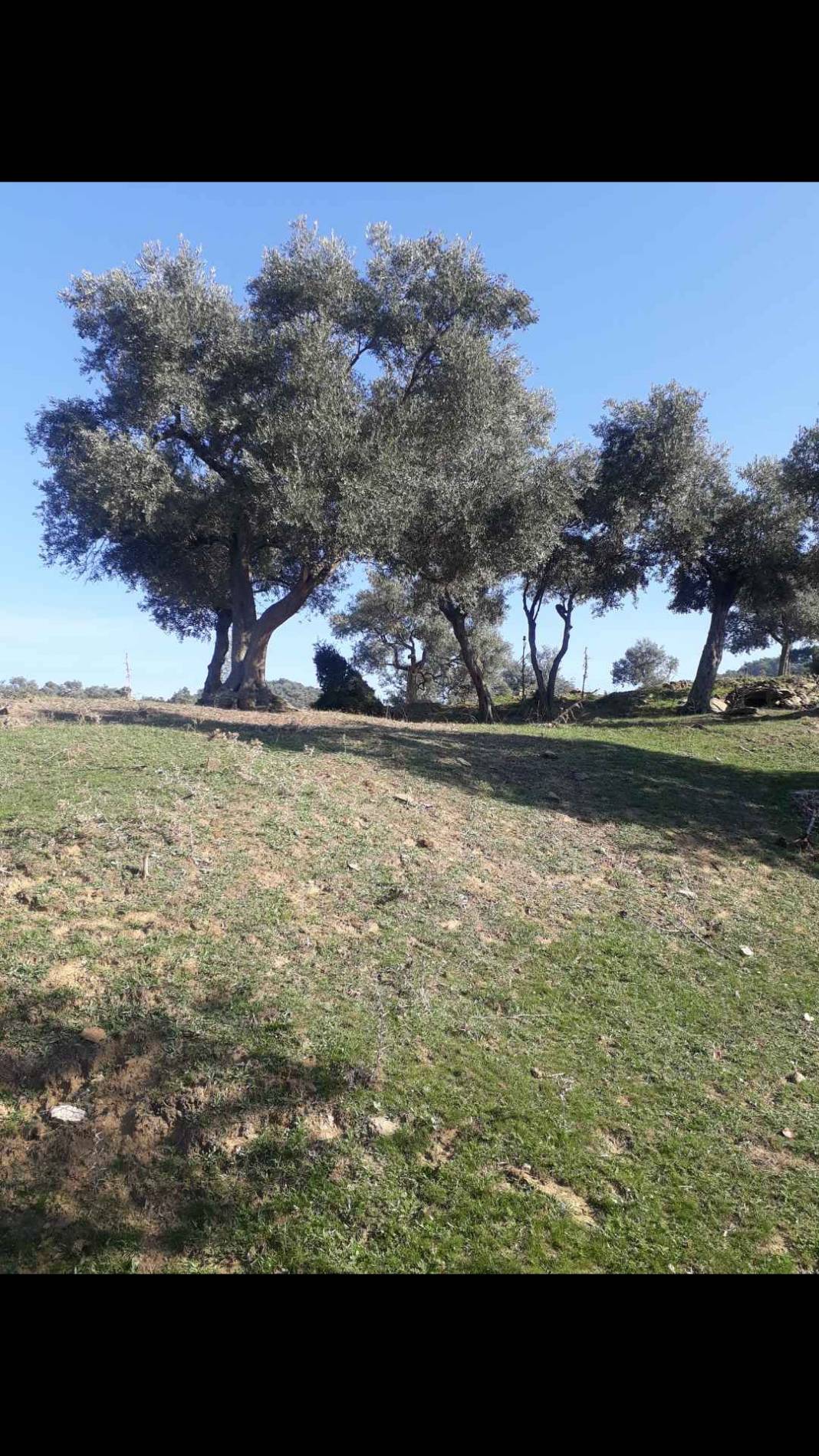 Bayındır Gaziler Köyü Resimleri 3