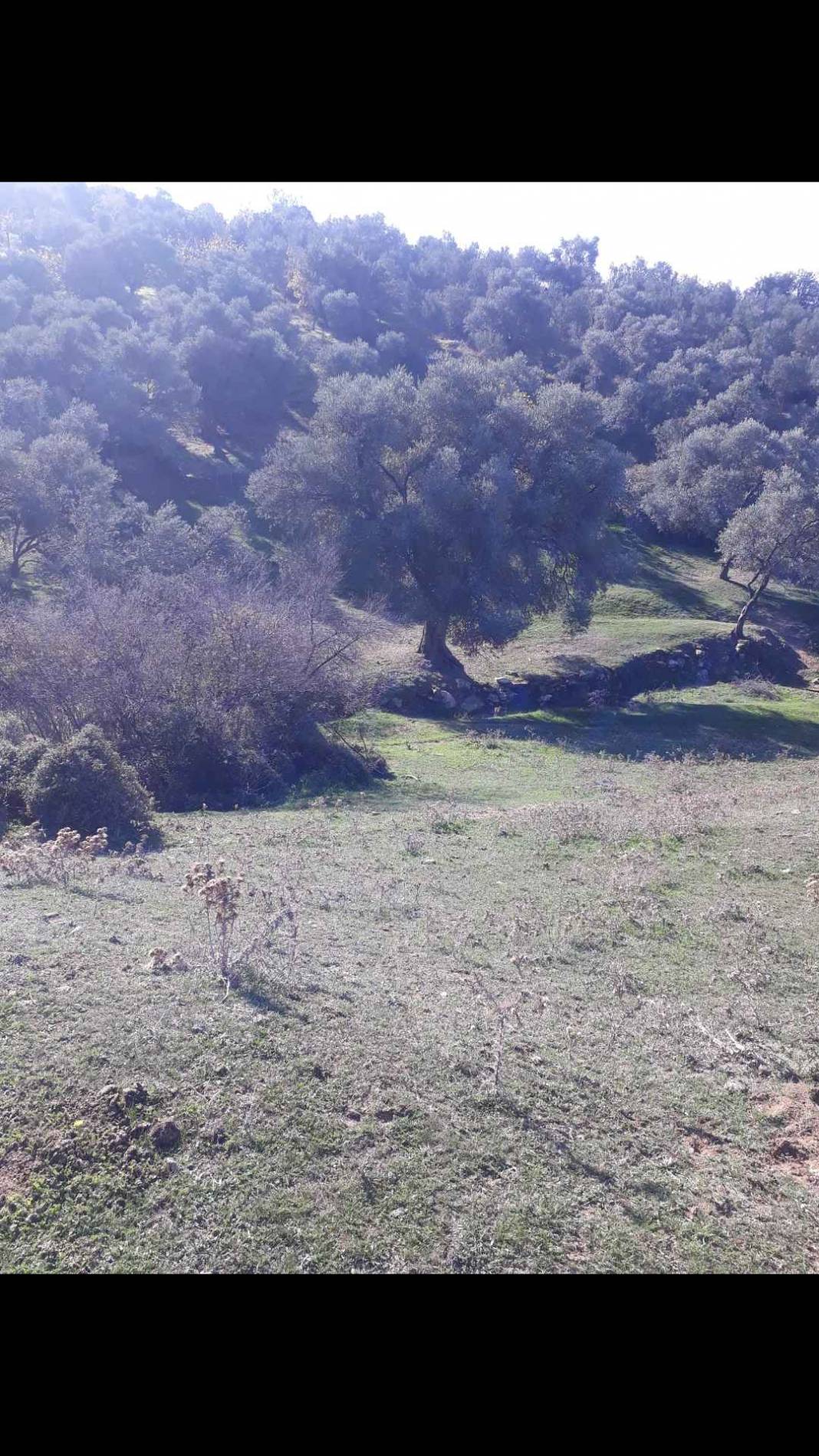 Bayındır Gaziler Köyü Resimleri 4