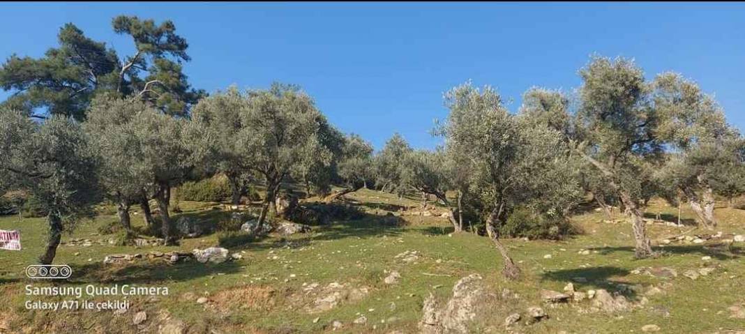 Bayındır Gaziler Köyü Resimleri 6