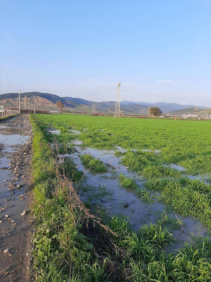 Bayındır Havuzbaşı Köyü Resimleri 1