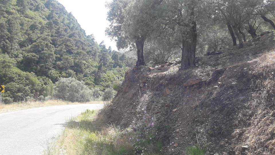 Bayındır Hisarlık Köyü Resimleri 7