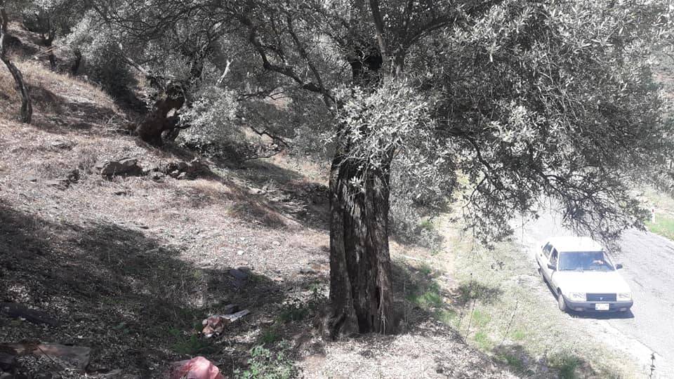 Bayındır Hisarlık Köyü Resimleri 8