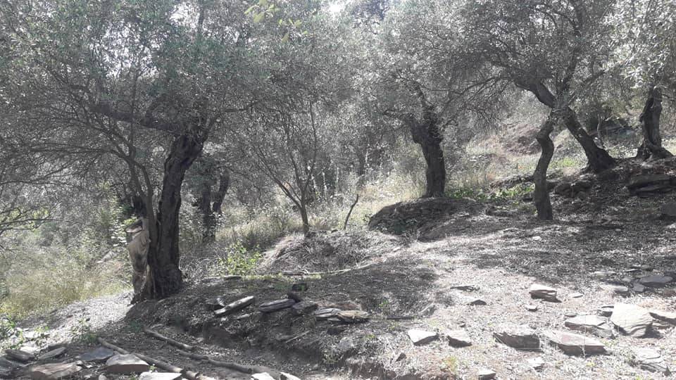 Bayındır Hisarlık Köyü Resimleri 9