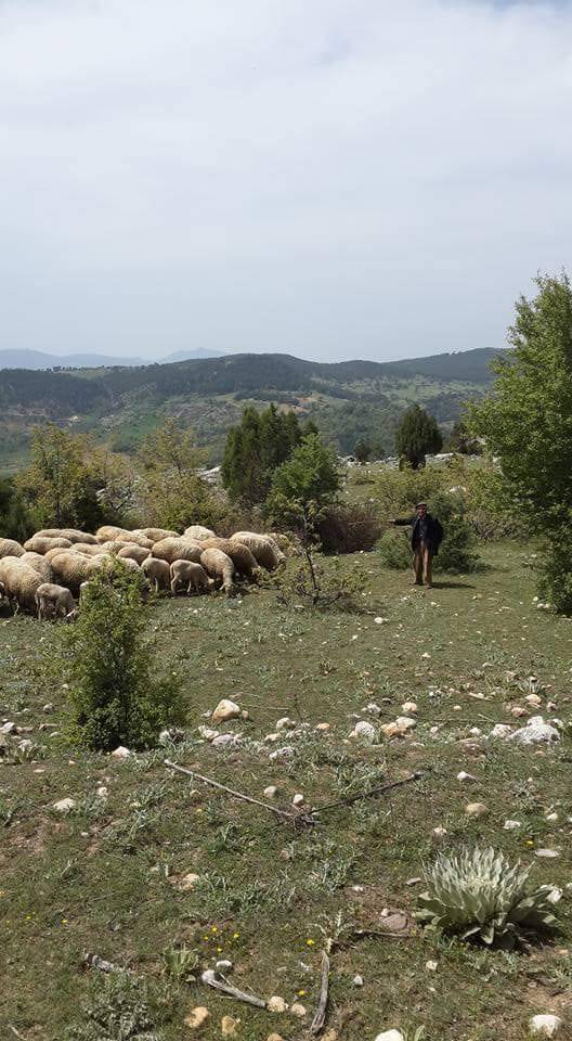 Simav Hıdırdivanı Köyü Resimleri 4