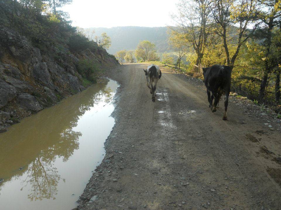 Simav Ihlamur Köyü Resimleri 4
