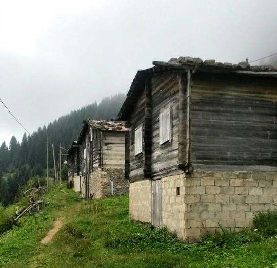 İkizdere Diktaş Köyü Resimleri 5