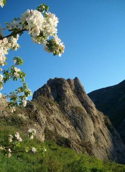 Simav Kapıkaya Köyü Resimleri 2