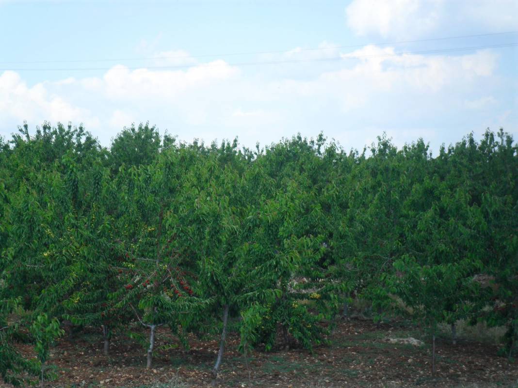 Simav Kayaışık Köyü Resimleri 3