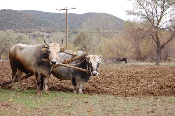 Simav Kurduman Köyü Resimleri 4