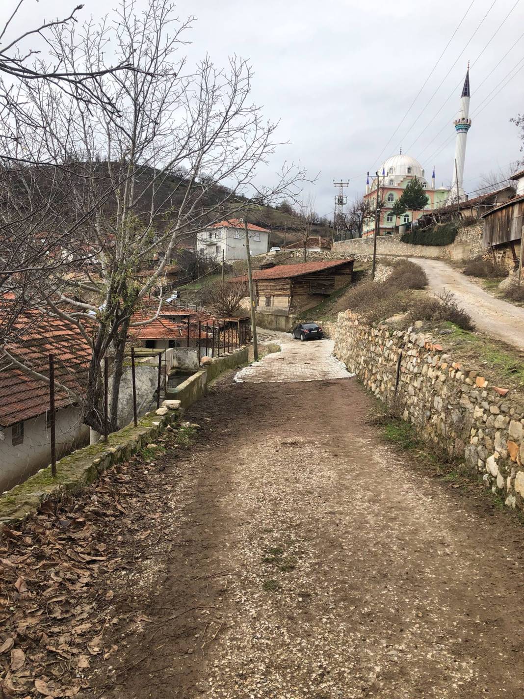 Simav Kurduman Köyü Resimleri 5