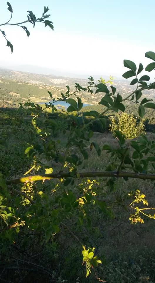 Simav Küplüce Köyü Resimleri 2