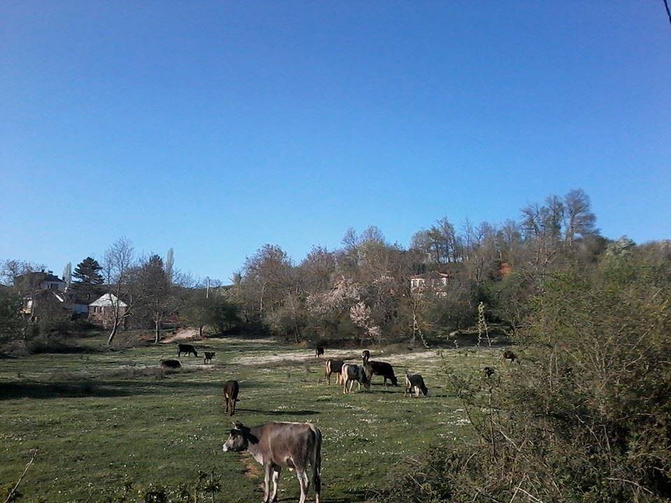 Gemlik Haydariye Köyü Resimleri 1