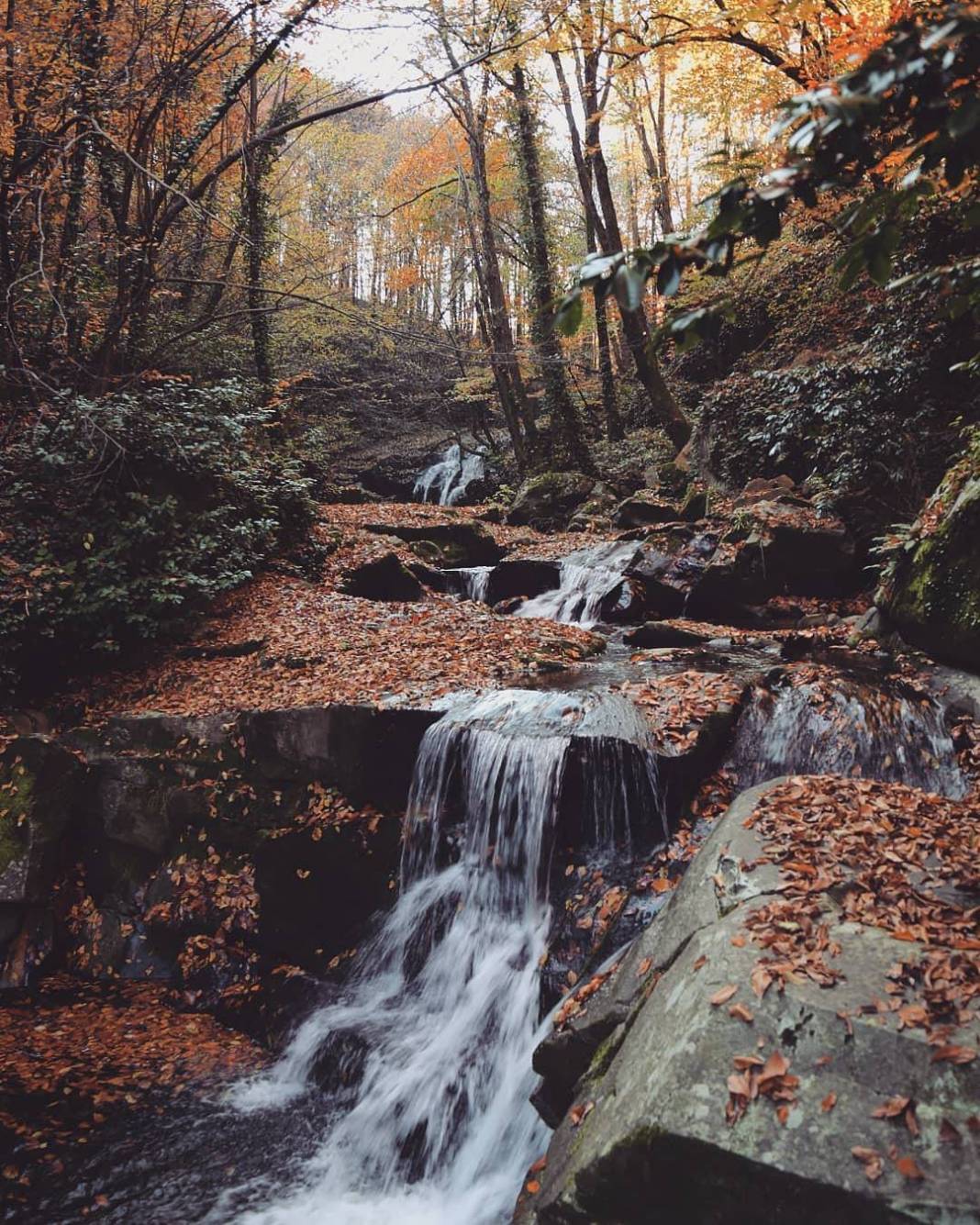 Gemlik Haydariye Köyü Resimleri 3