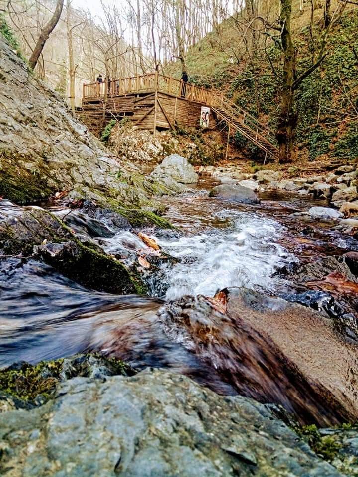 Gemlik Haydariye Köyü Resimleri 4