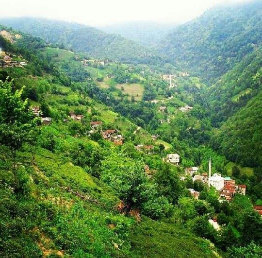 İkizdere Gürdere Köyü Resimleri 1