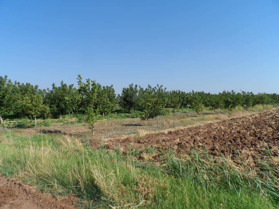Şahinbey Çimenli Köyü Resimleri 2
