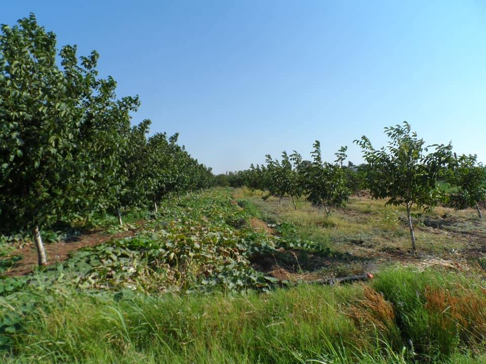 Şahinbey Çimenli Köyü Resimleri 3
