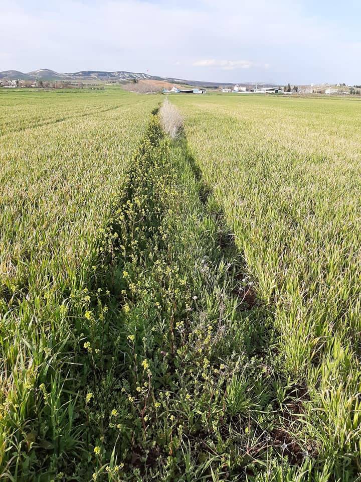 Şahinbey Çimenli Köyü Resimleri 4