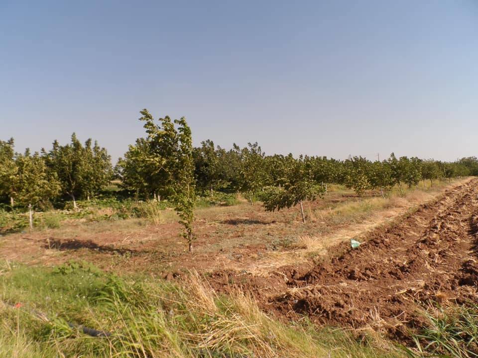 Şahinbey Çimenli Köyü Resimleri 7