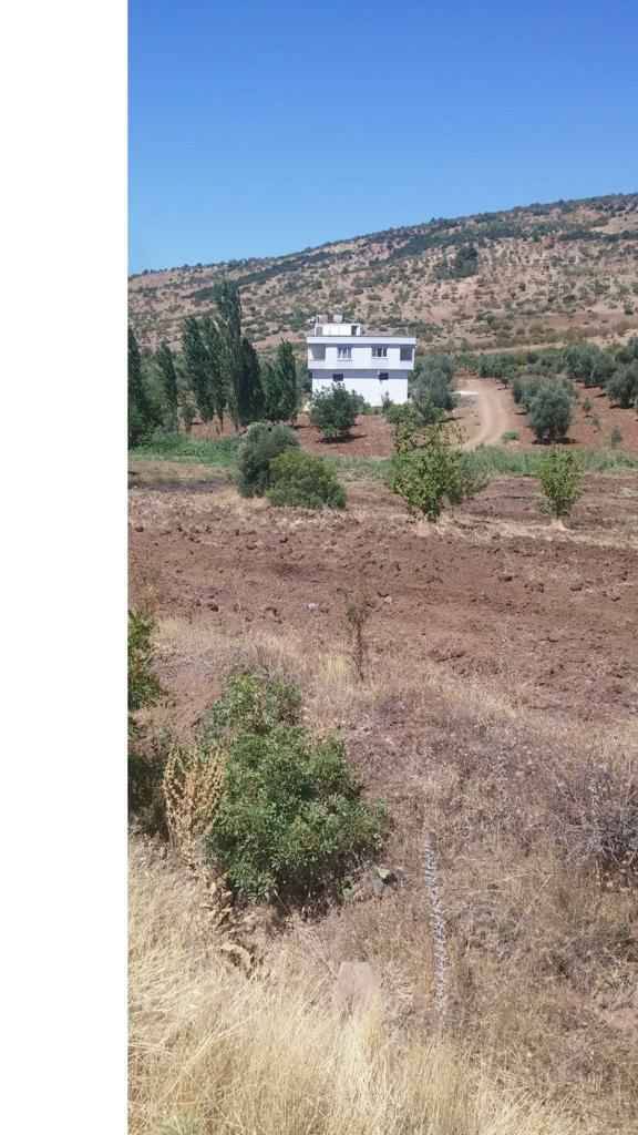 Şahinbey Çubukdikeni Köyü Resimleri 1