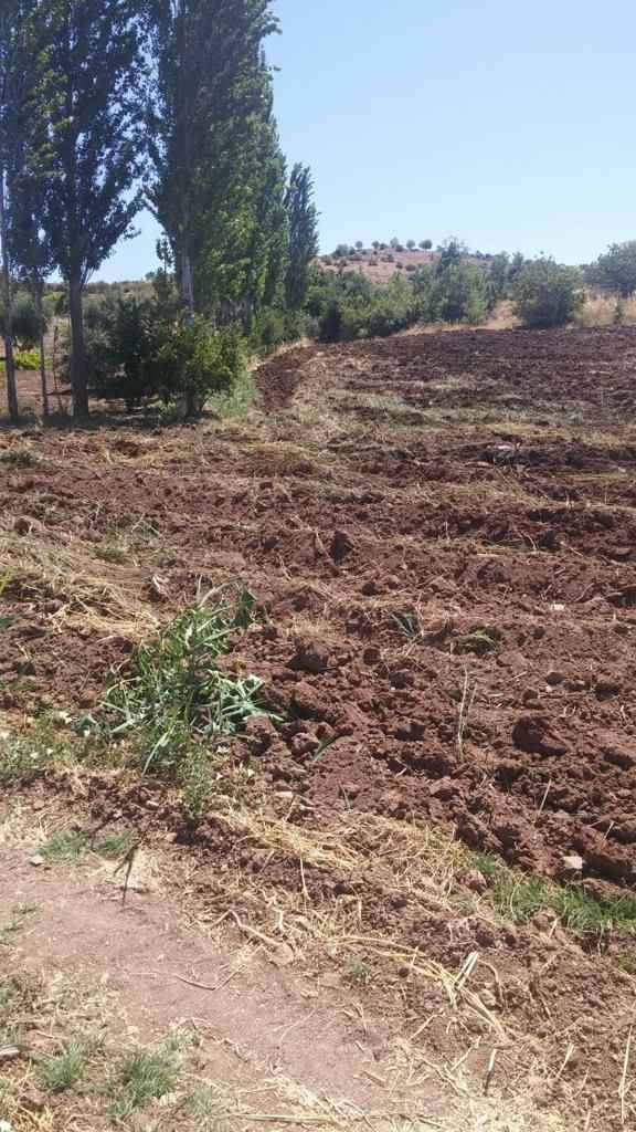 Şahinbey Çubukdikeni Köyü Resimleri 4