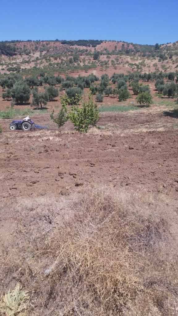 Şahinbey Çubukdikeni Köyü Resimleri 5