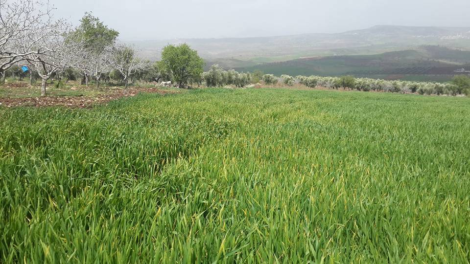 Şahinbey Dokur Köyü Resimleri 1