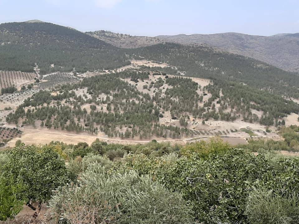 Şahinbey Durantaş Köyü Resimleri 2