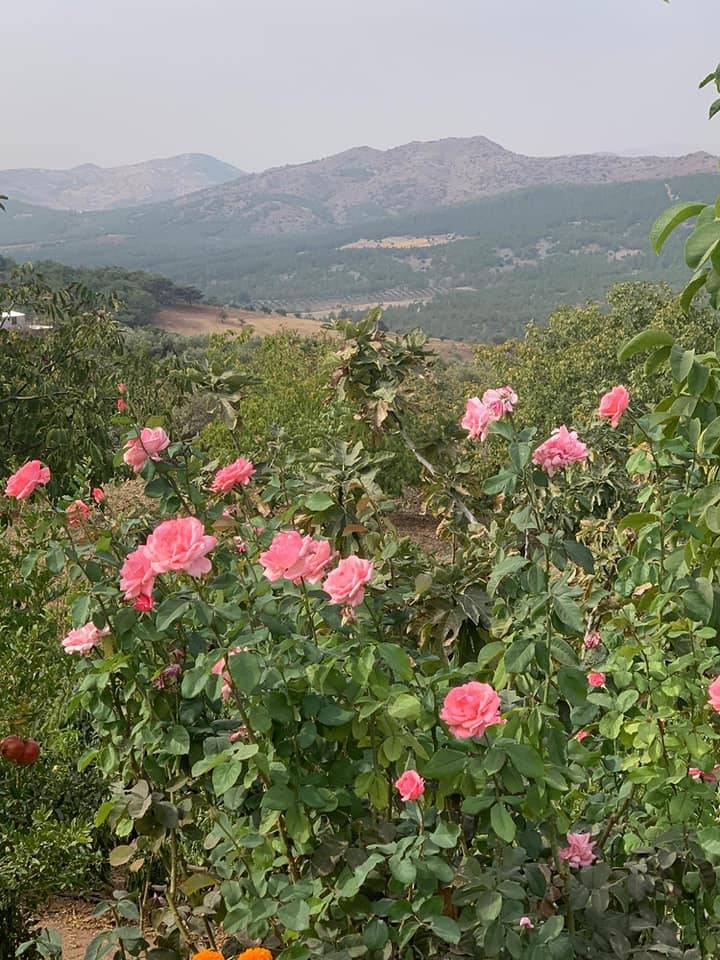 Şahinbey Durantaş Köyü Resimleri 3