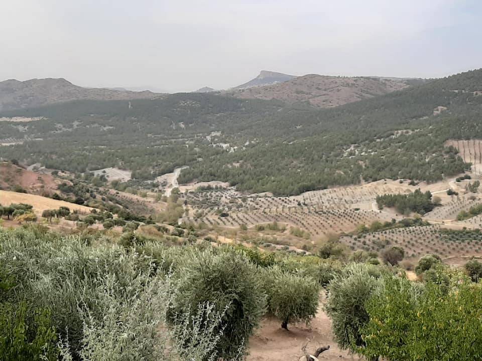 Şahinbey Durantaş Köyü Resimleri 4