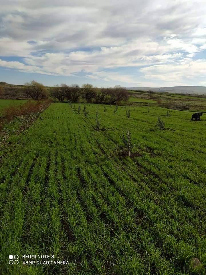 Şahinbey Ekinli Köyü Resimleri 3