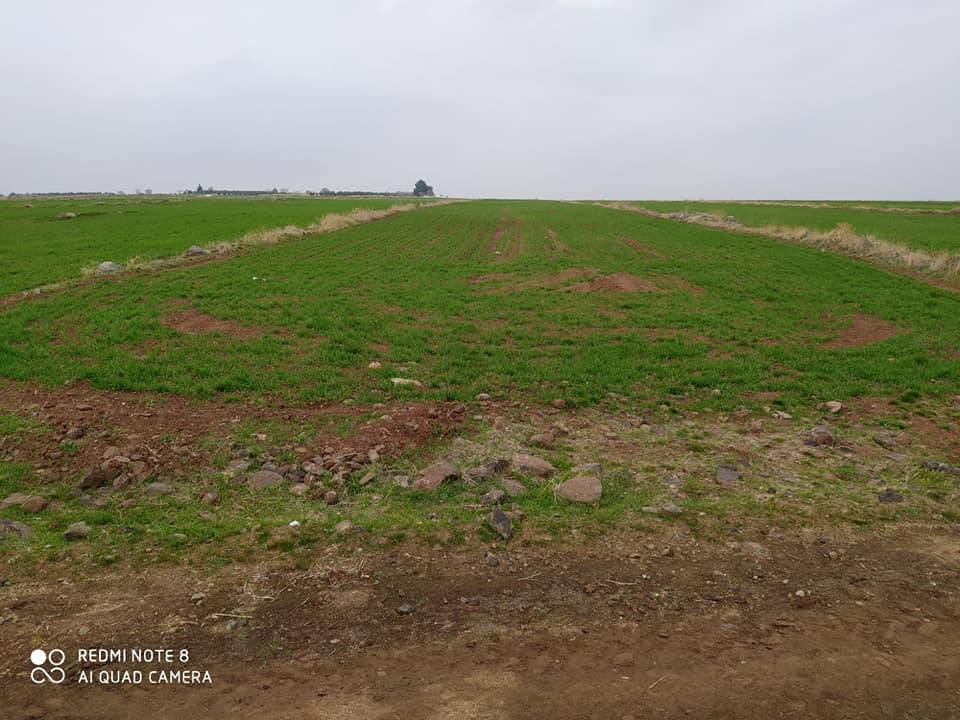 Şahinbey Ekinli Köyü Resimleri 5