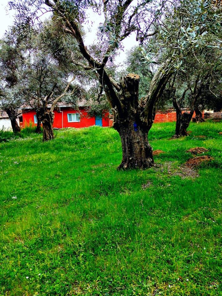 Bayındır Karahalilli Köyü Resimleri 10