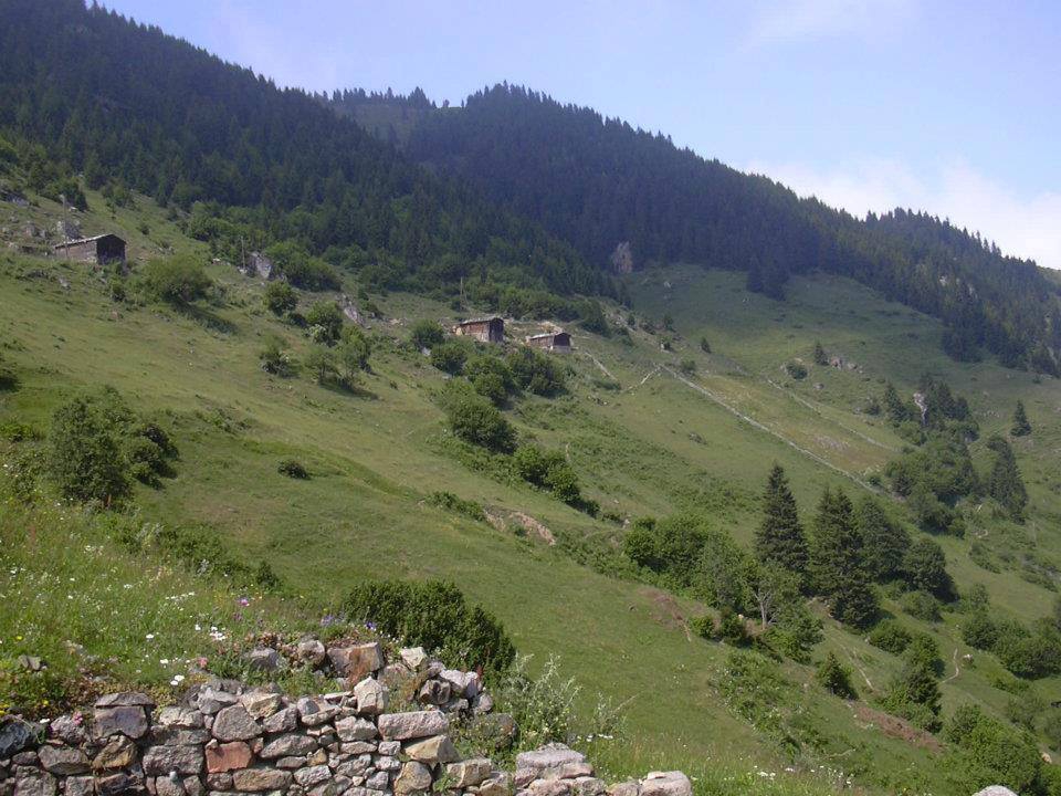 İkizdere Kama Köyü Resimleri 3