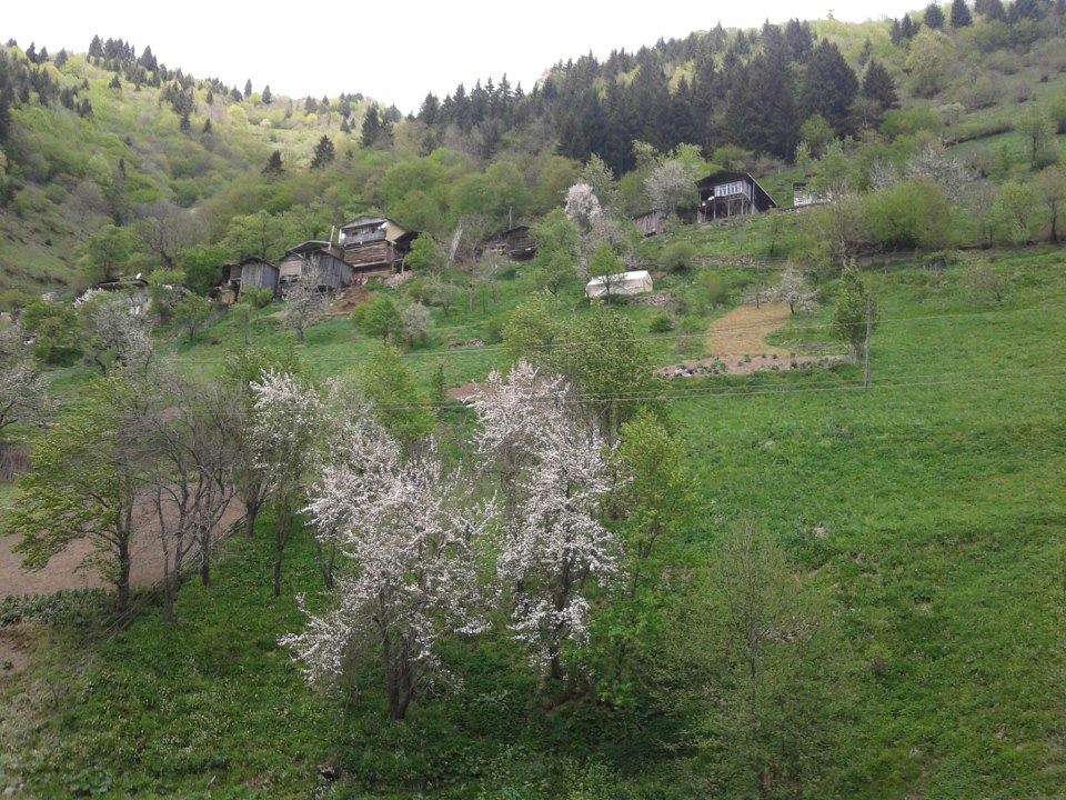 İkizdere Kama Köyü Resimleri 9