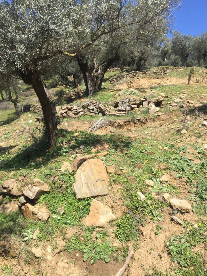 Bayındır Karapınar Köyü Resimleri 4